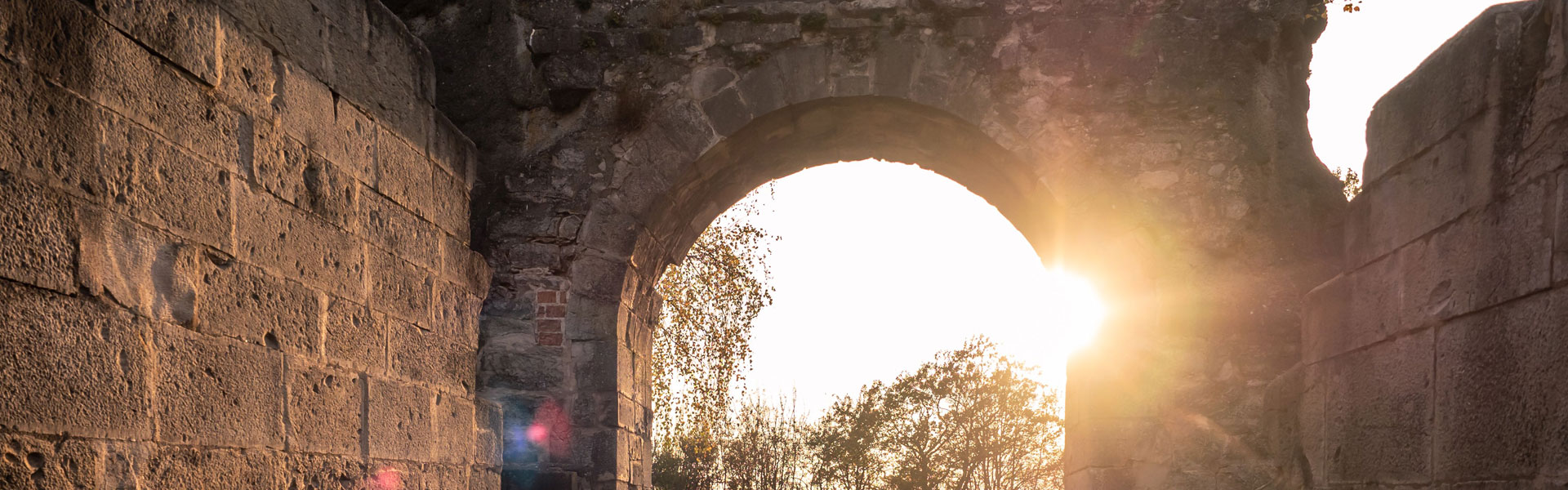 Header 010